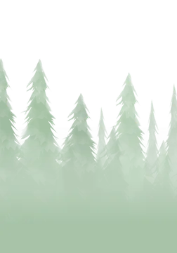 forest background image
